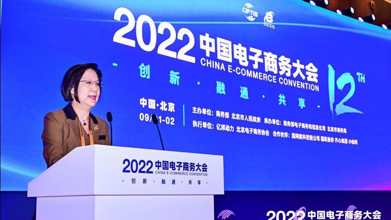 京东代运营加盟代理，揭秘其背后的价值与选择要点