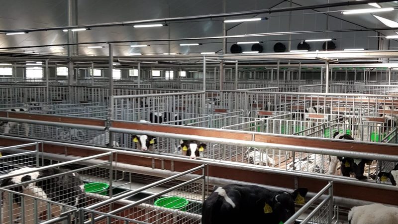 天猫代运营：新手开店，从零开始，步步为营**