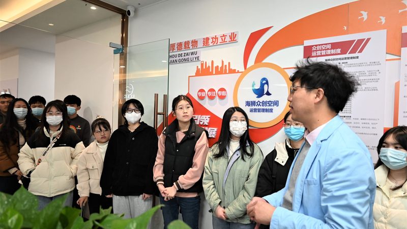 目前，拼多多店铺装修工具主要分为以下几类：